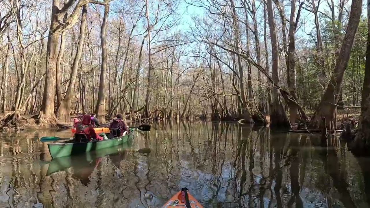 Congaree National Park 2.13.26 with Carolina Outdoor Adventures 
