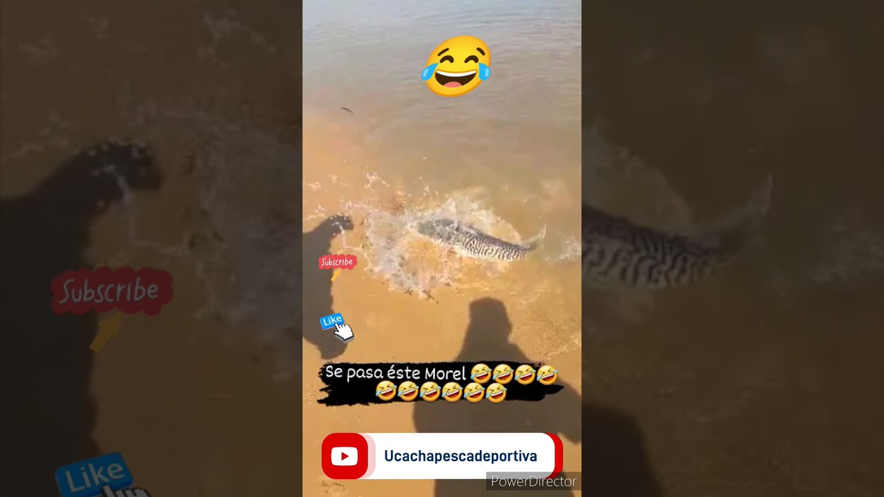 Pesca Surubi con l&iacute;nea de mano #pescar #pesca #viral #shortvideo #surubi #rio #shorts #pescar
