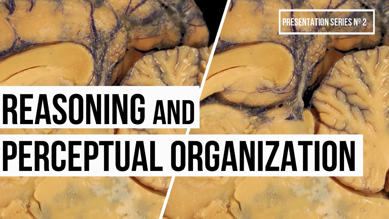 Reasoning and Perceptual Organization (Video Nº11, Series #2)
