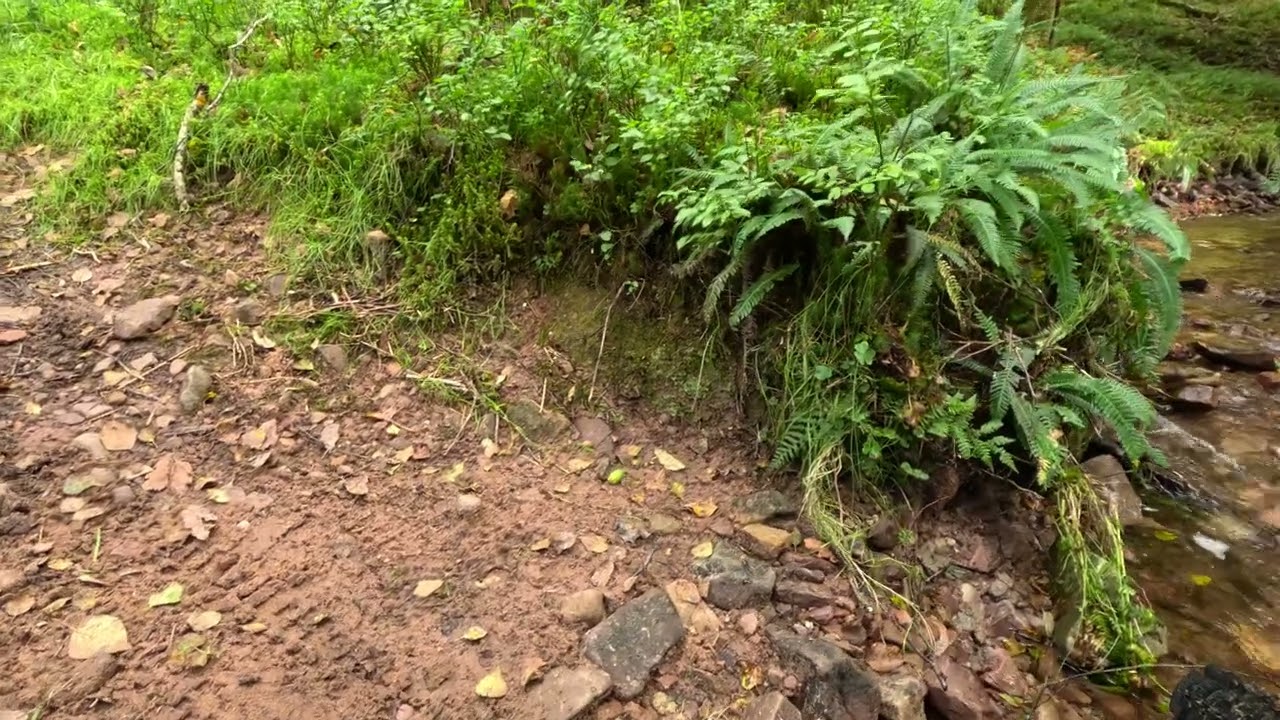 Down Slaughterhouse combe September 2023 after the rain