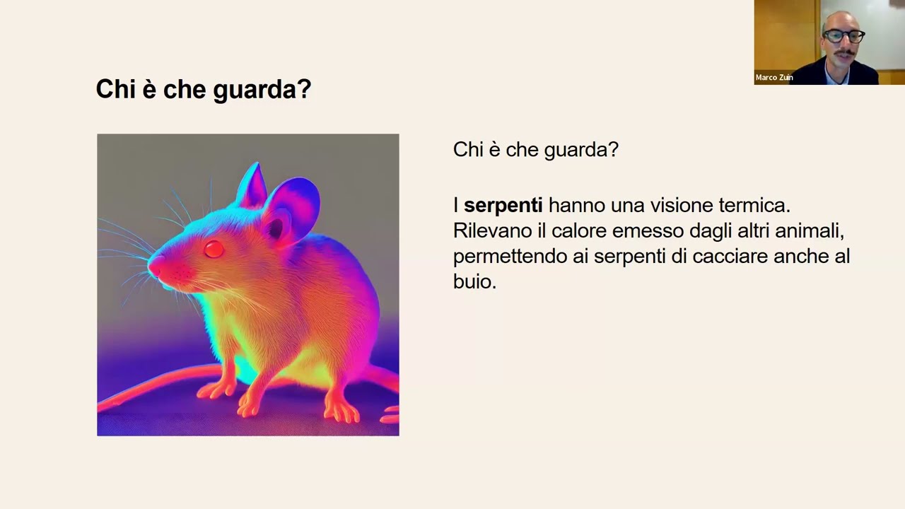 1 Lezione   Linguaggio audiovisivo