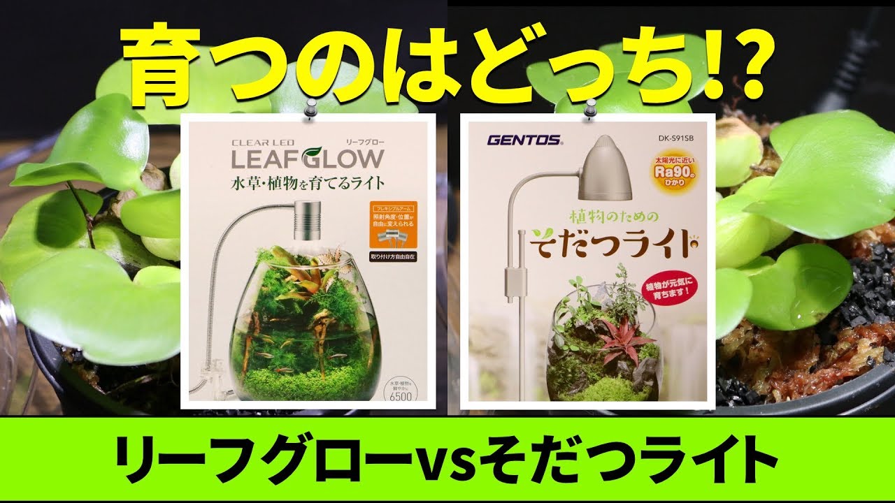 どっちが育つ？ 売れ筋LEDを比較｜リーフグローvsそだつライト【LED戦国時代】