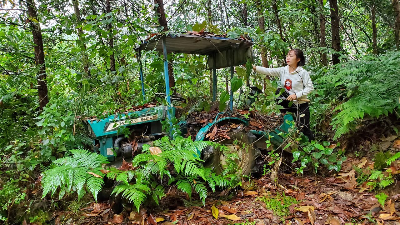 Restoring an Ancient Plow Abandoned in the Forest for Decades (Restoring a Harrow Engine)