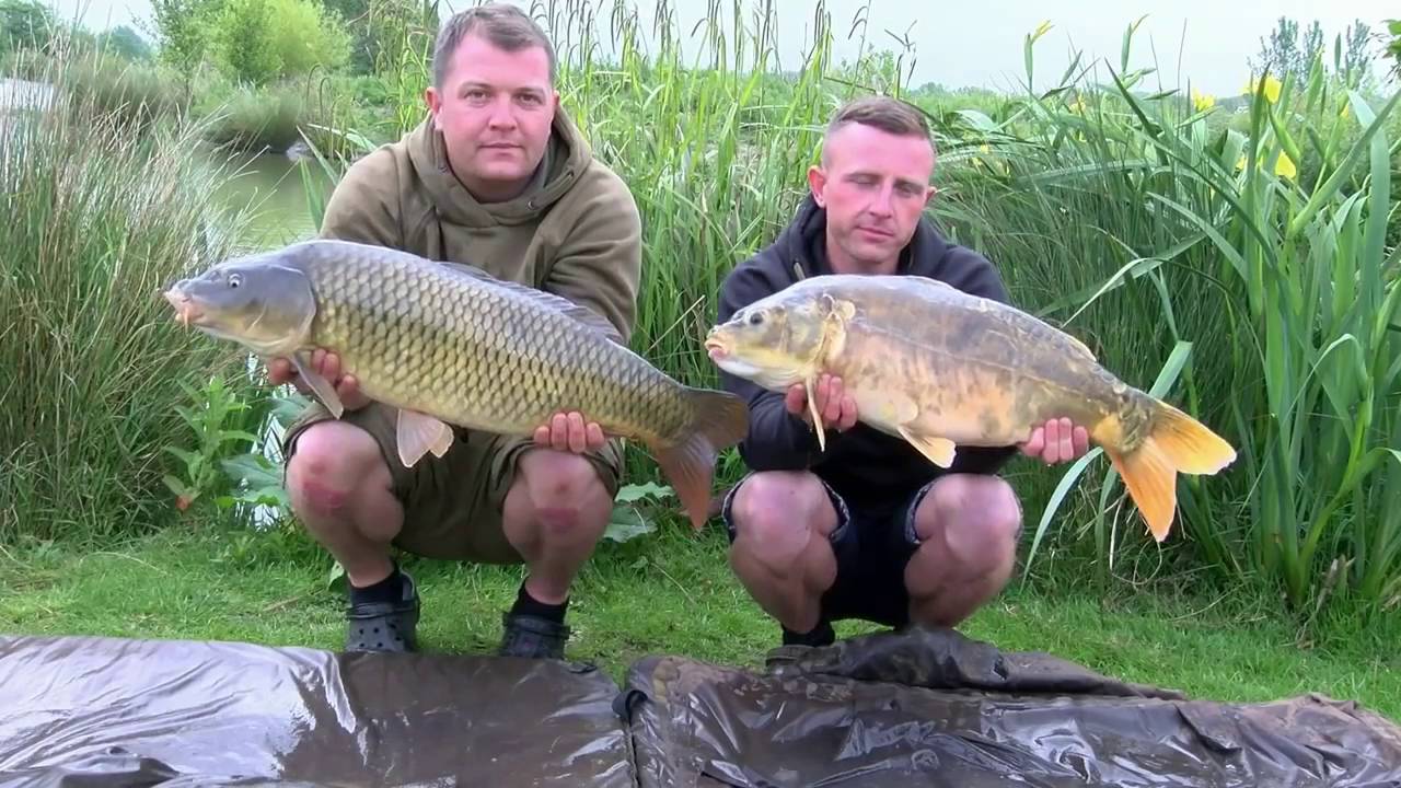 British Carp Cups - Southern Carp Cup Final 2015 - Orchard Place Farm