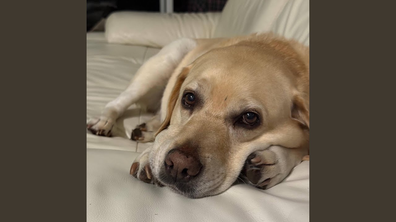 Leven in het hier en nu.