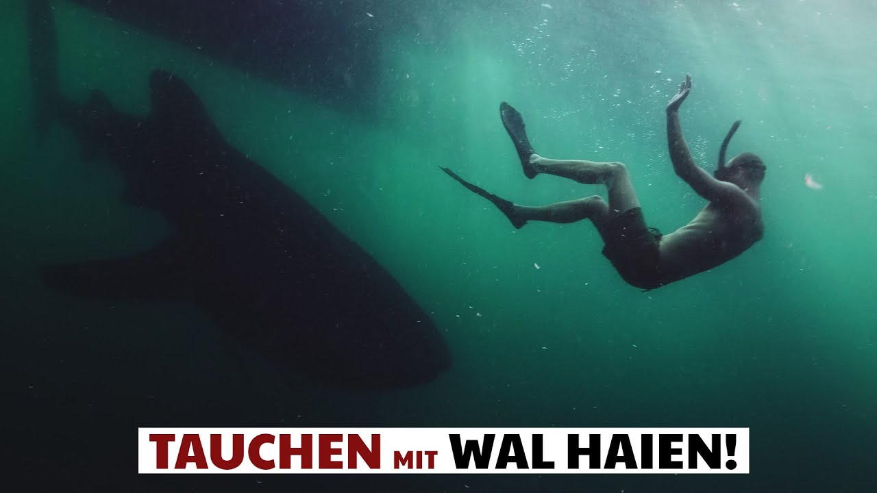 WIR HABEN SIE GEFUNDEN! | VLOG #165