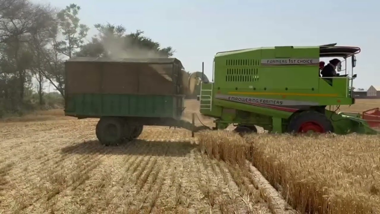 Standard 1031 S mini bhusa combine harvester yogesh ghogare #agriculturalmachinery #farming #farm 