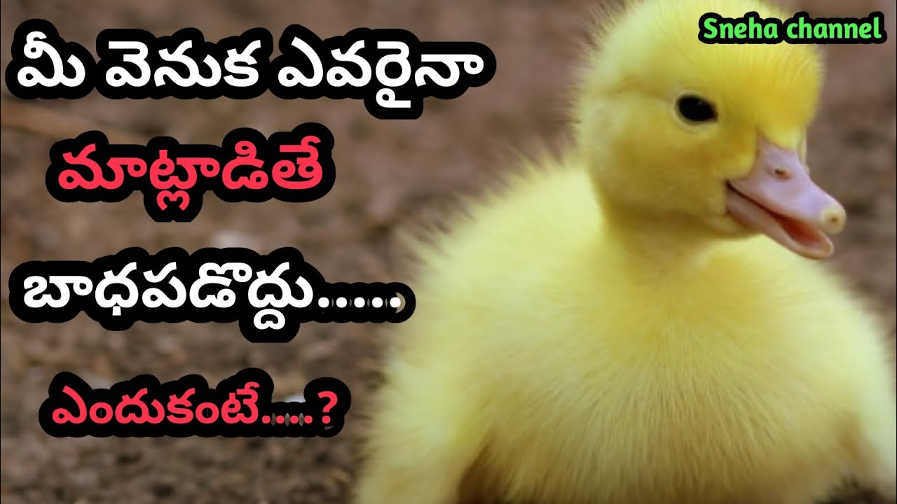 wonderful quotes#886#jivithasathyalu |Million dalar quotes |‌|Sneha channel