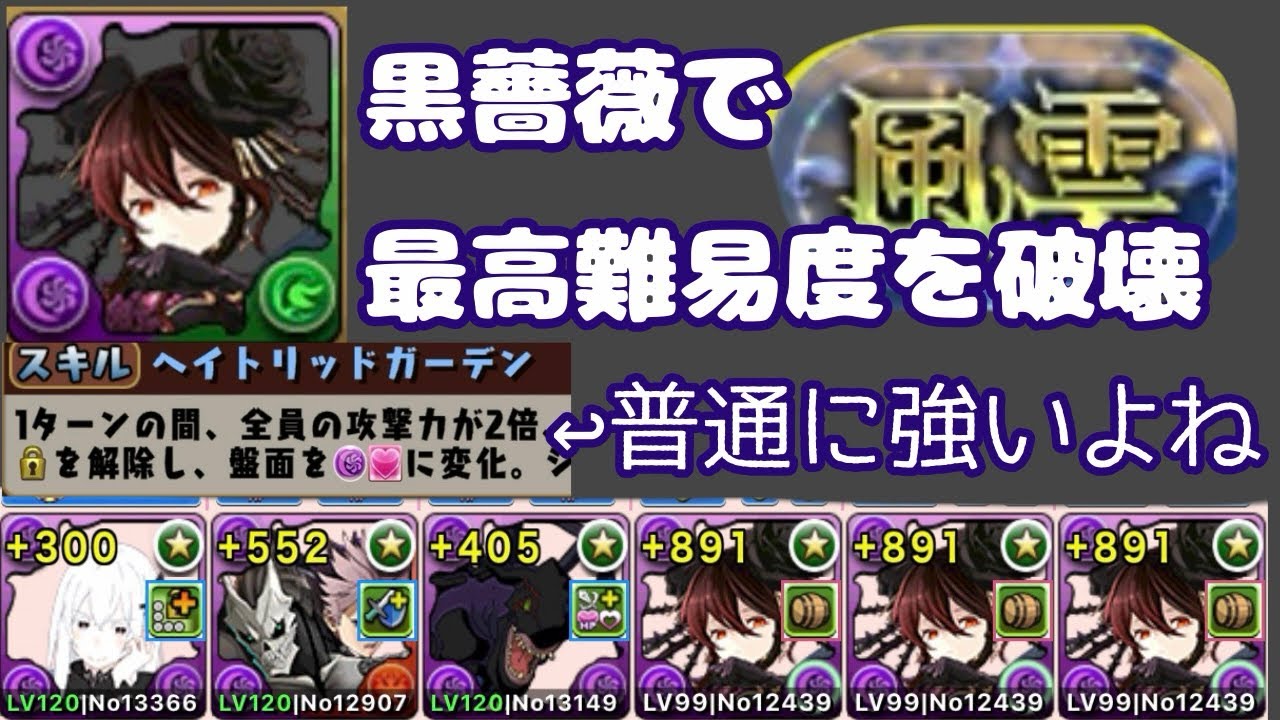 【風雲チャレンジ】【黒薔薇】バランスのいい風雲キラーはこれだ！！【パズドラ】