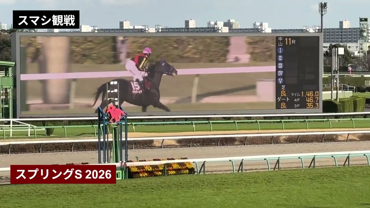 2026年 スプリングステークス | アウダーシア | アスクエジンバラ | アクロフェイズ | 現地レース映像 | 中山競馬場 | スマシ観戦 | 芝1,800