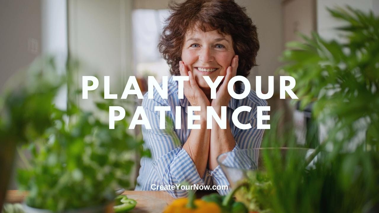 3977 Plant Your Patience
