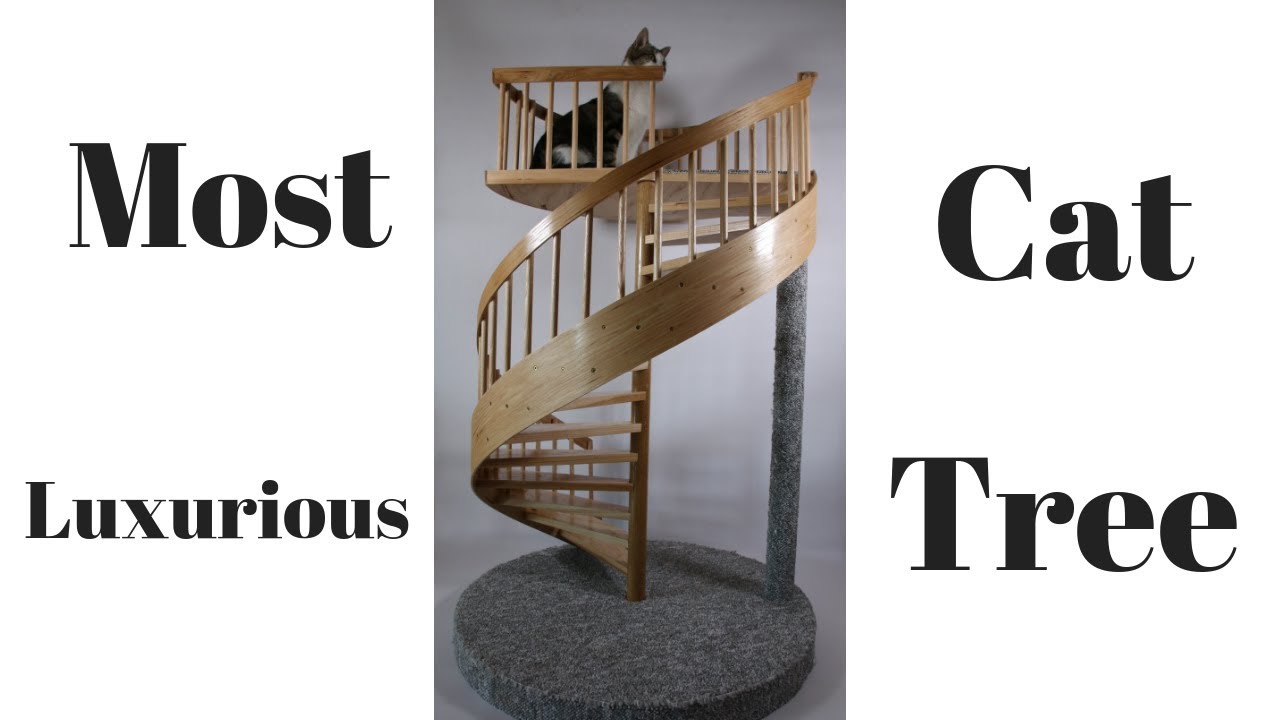 How I built the most luxurious Spiral Staircase Cat Tower  1/3 Scale