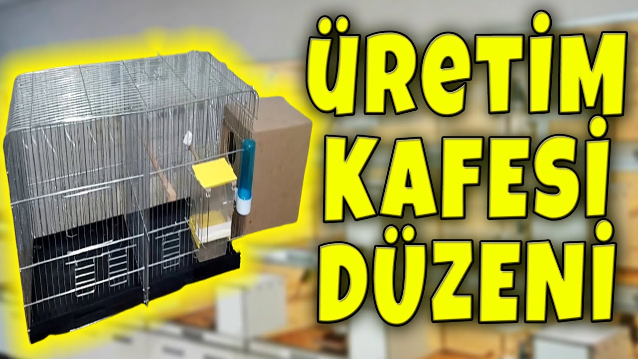 MUHABBET KUŞU ÜRETİMİ İÇİN EN UYGUN KAFES DÜZENİ