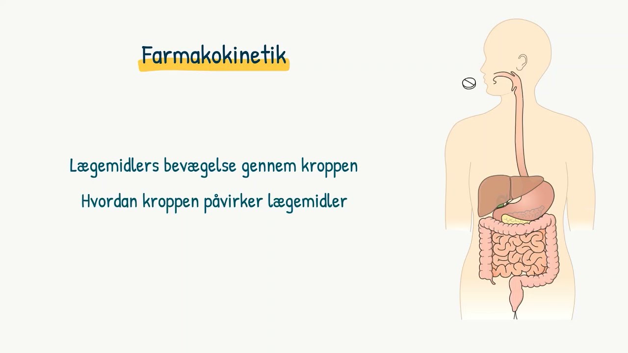 Almen farmakologi: Farmakokinetik