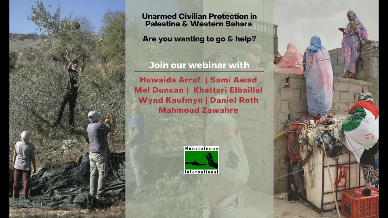 Discover the Power of Solidarity: Unarmed Civilian Protection in Palestine and Western Sahara 🌍✊