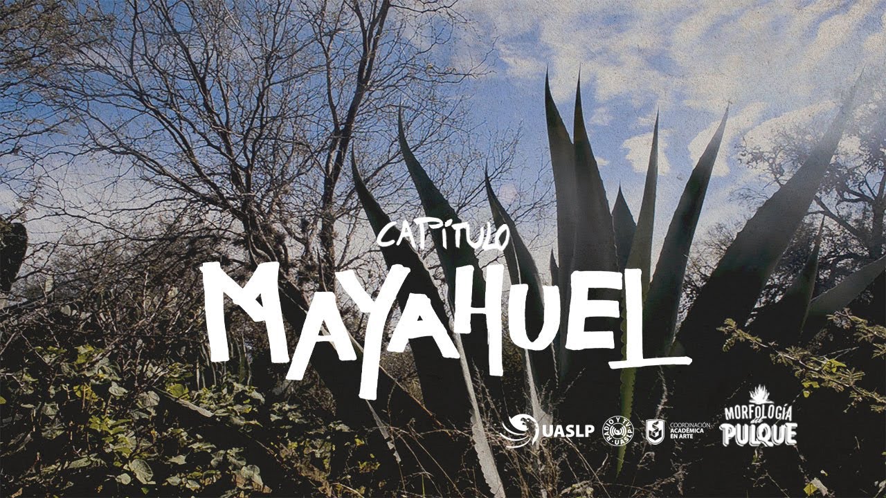 Mayahuel - Morfología del Pulque (Serie)