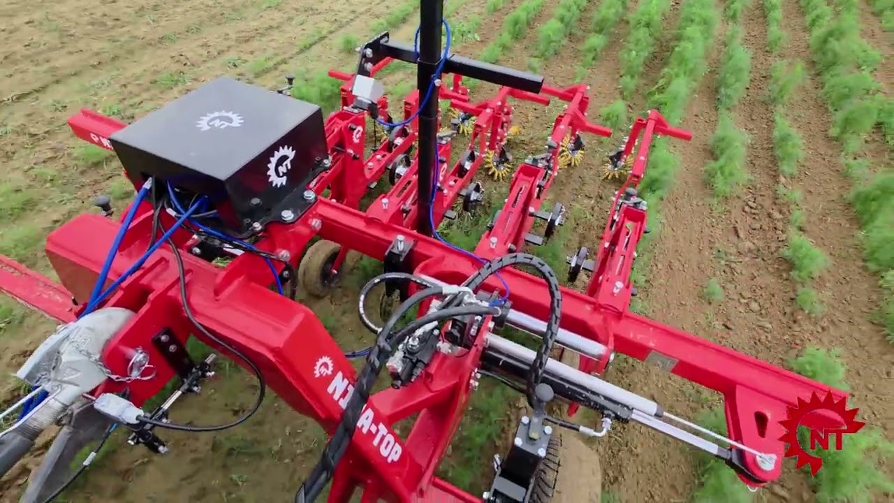 Pielnik 4 rzędowy  NIVA-TOP z systemem naprowadzania kamerą w plantacji koperku