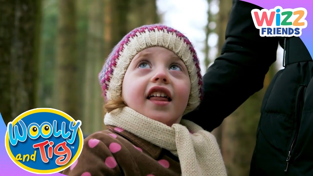 @WoollyandTigOfficial  - Quiet Walk in the Snow ❄️🌲 | Short | @WizzFriends