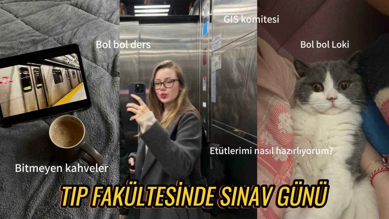 TIP FAKÜLTESİNDE SINAV GÜNÜ| etütlerimi nasıl hazırlıyorum, şişko kedimin yaramazlıkları, bolca ders