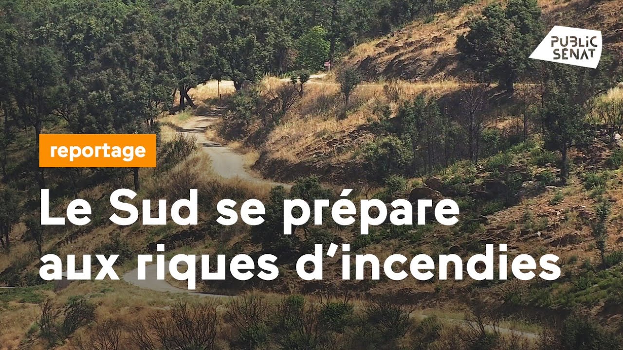 Sécheresse et incendies dans le Sud : un été à haut risque