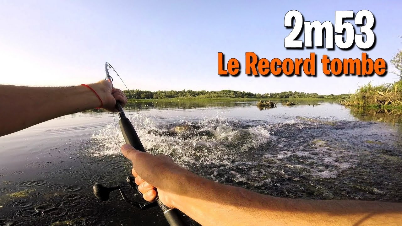 PECHE RECORD en Loire : SILURE 2m53 du bord au CLONK, ça tabasse !