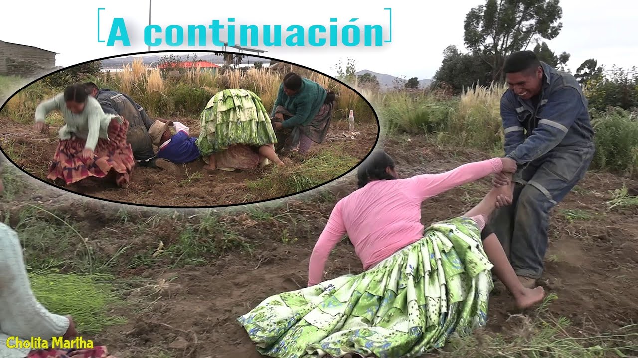 Este me paso por no escarbar bien la papa _ cosecha de papas