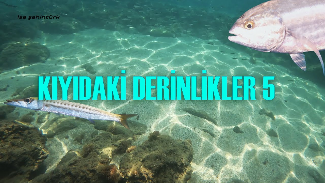 Kıyıdaki Derinlikler 5   |  Ayaş  |  Temmuz 2023