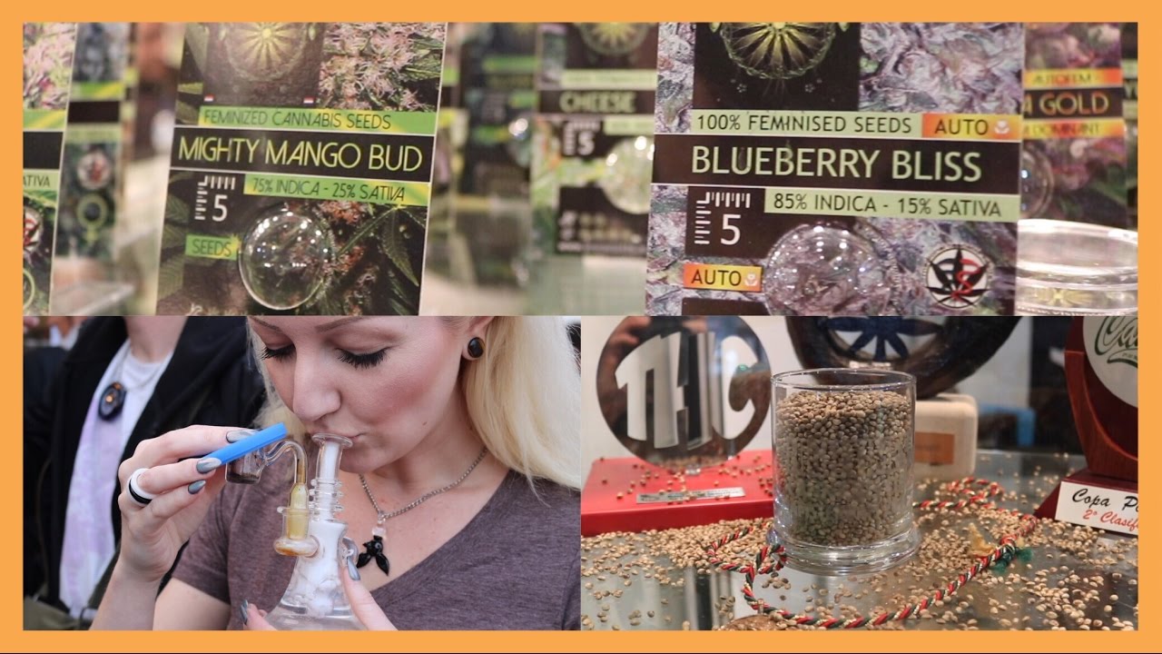 SPANNABIS 2017 | HIGHlights | CoralReefer