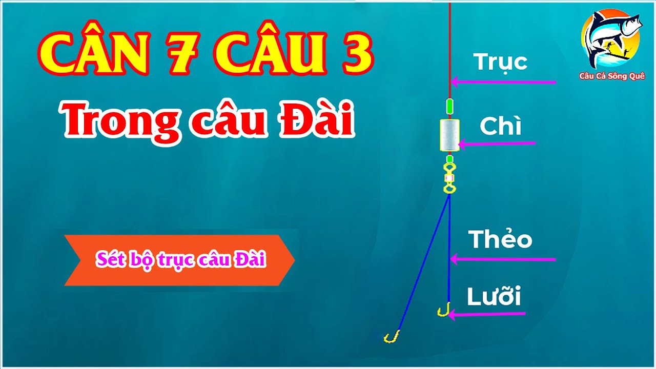 C&aacute;ch C&acirc;n 7 C&acirc;u 3 Trong C&acirc;u Đ&agrave;i | &Aacute;p Dụng C&acirc;u C&aacute; Hiệu Quả Nhất