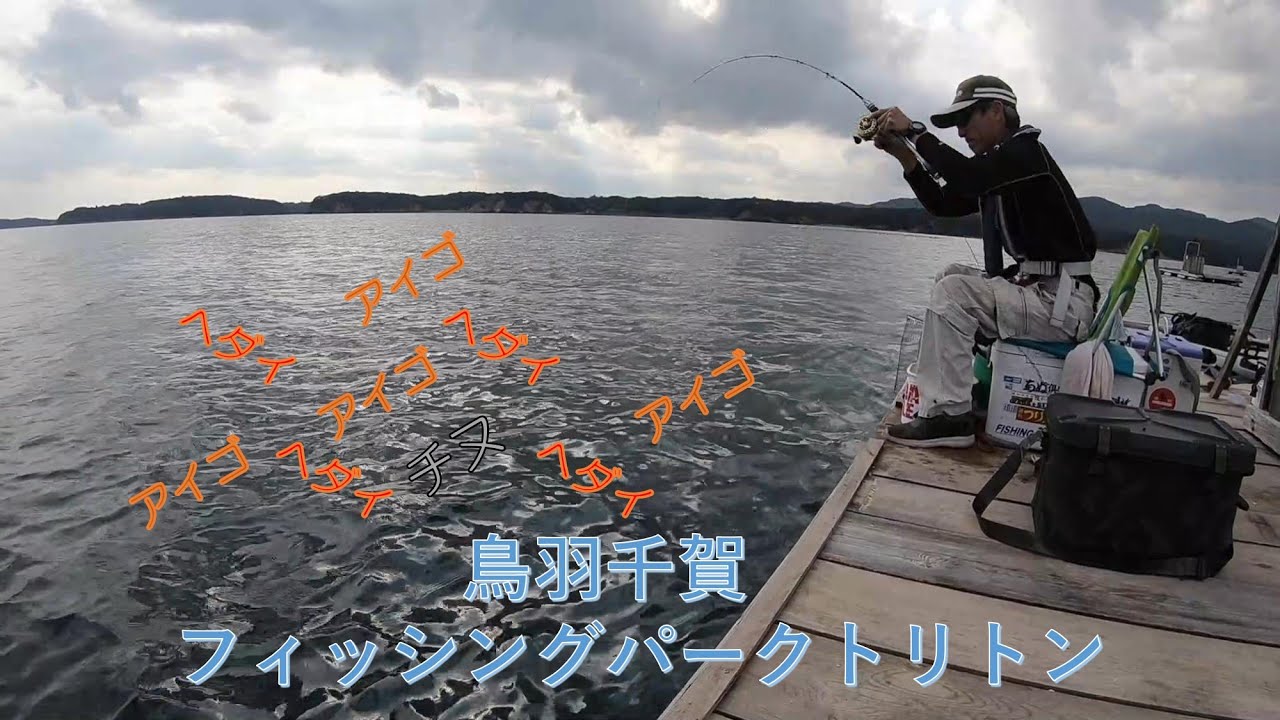 鳥羽フィッシングパーク　トリトン　　ヘダイ＆アイゴの猛攻をかわしチヌに辿り着けるか！？