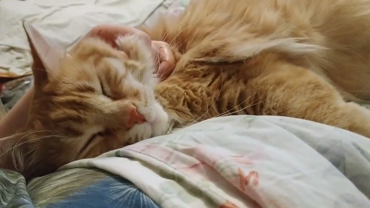 Кузенька ❤, отдыхаем, Хороших выходных,,😘