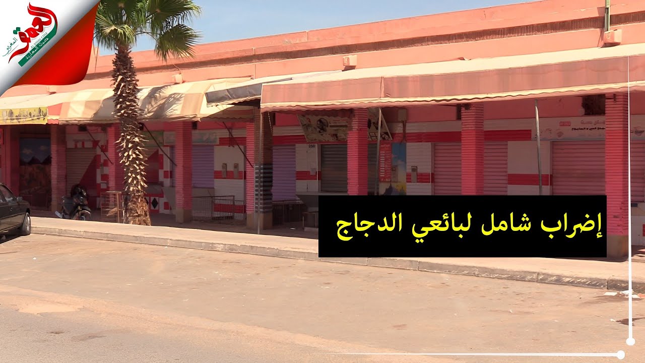 غلاء الأسعار يغلق جميع محلات بيع لحم الدجاج بمدينة بيوكرى