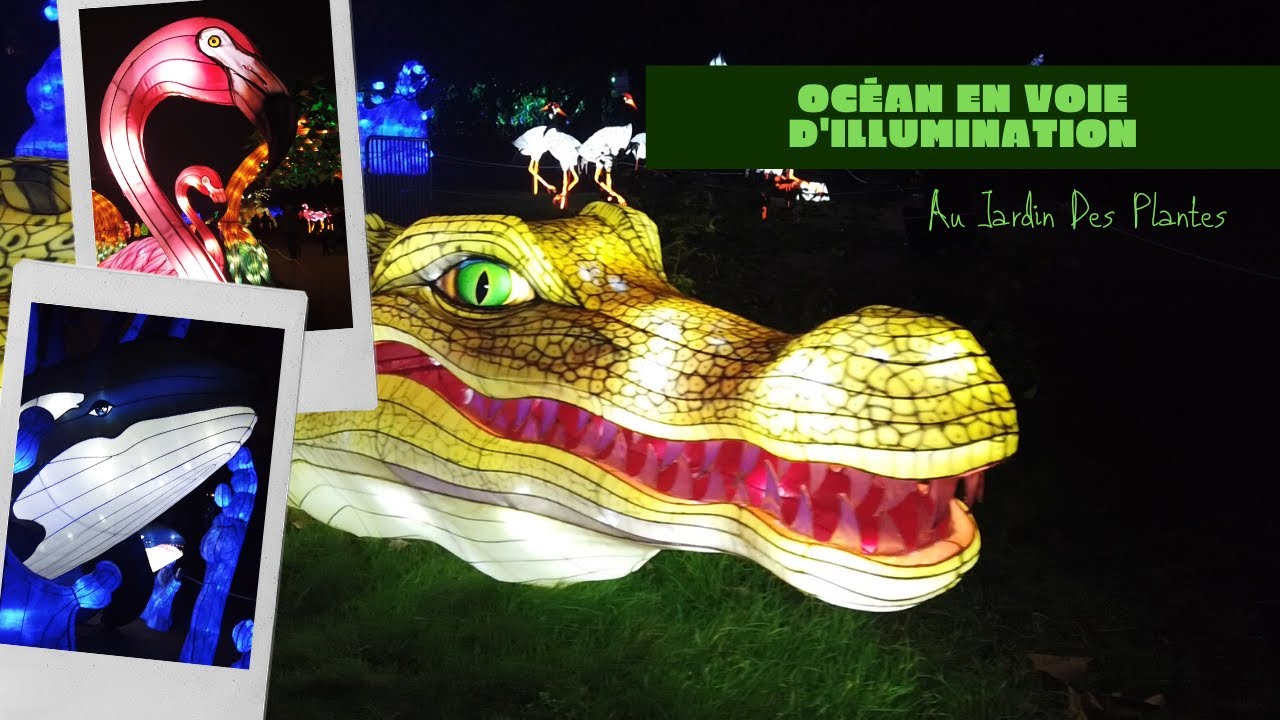🌊« Océan en voie d’illumination » 🐠