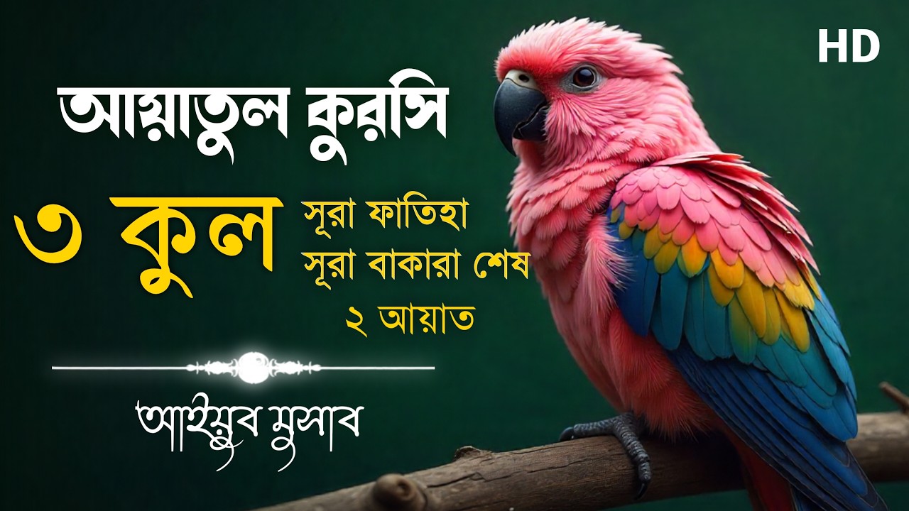 কালো জাদু ও  মানুষ ও জ্বিনের কু-নজর থেকে বাঁচার আমল ।7x [Al-Fatiha, Al Baqarah (1-5), Ayat al Kursi]
