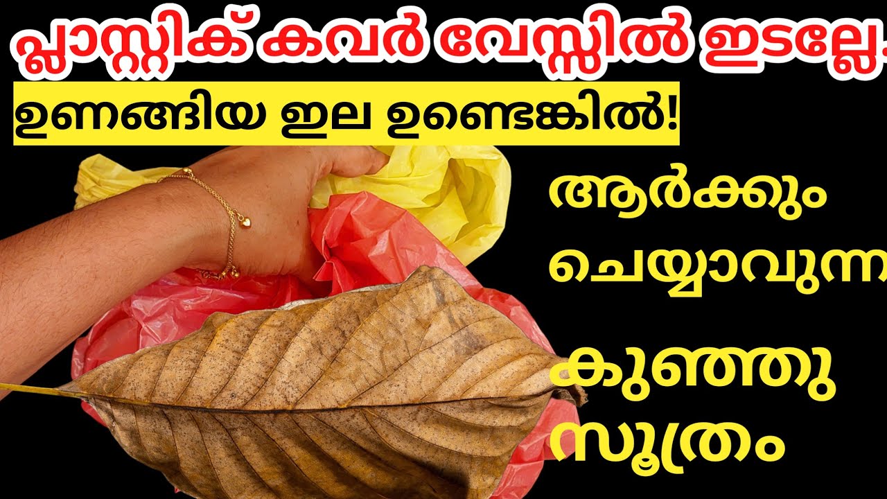 പ്ലാസ്റ്റിക് കവറും ഉണങ്ങിയ ഇലയും മതി ആർക്കും ചെയ്യാം എന്തെളുപ്പം |Pplastic cover reuse idea