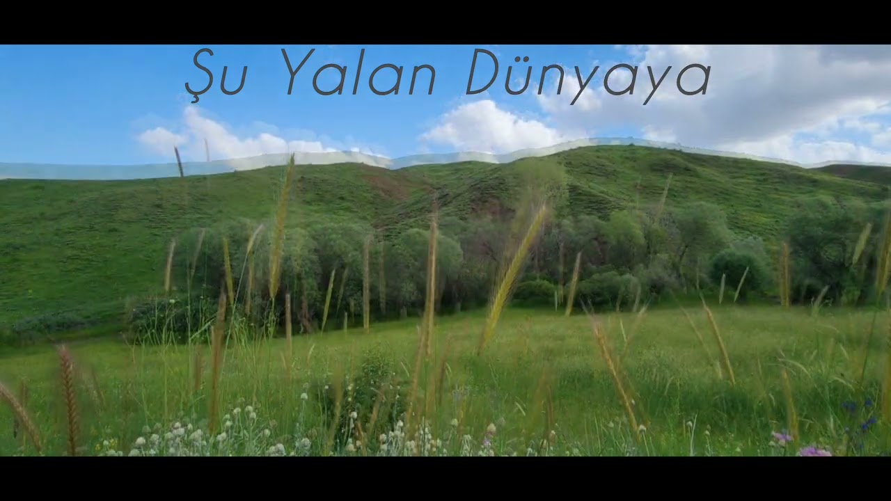 Sinan Bayrak - Şu Yalan Dünyaya