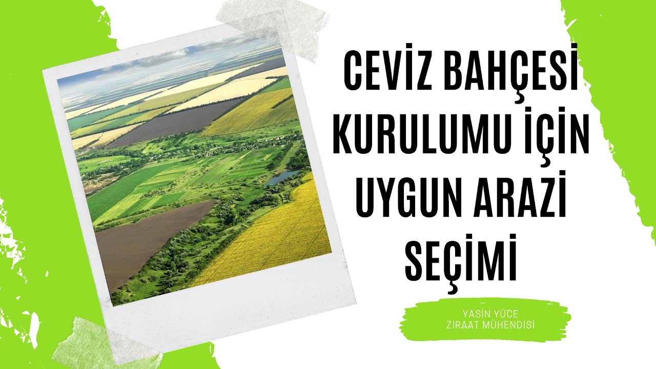 CEVİZ BAHÇESİ KURULUMU İÇİN UYGUN ARAZİ SEÇİMİ