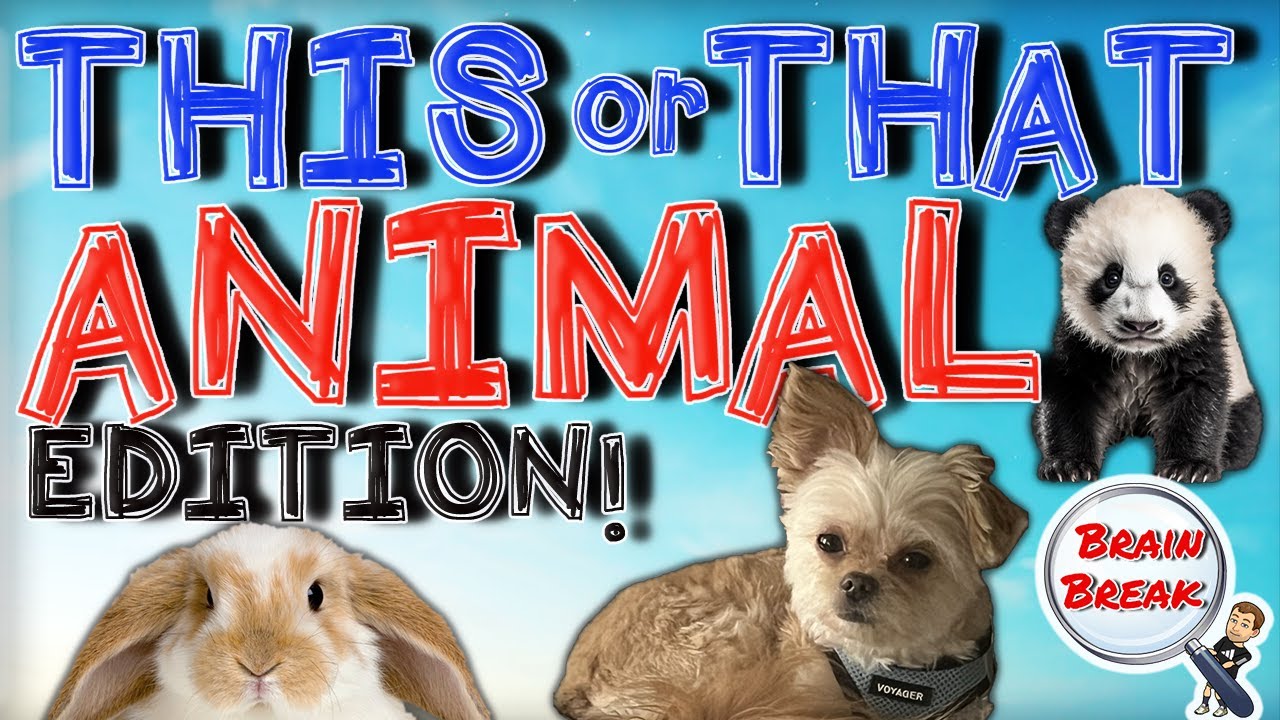 This or That? Animal Edition! | Brain Break | Would You Rather? | Fun Fitness for Kids | GoNoodle