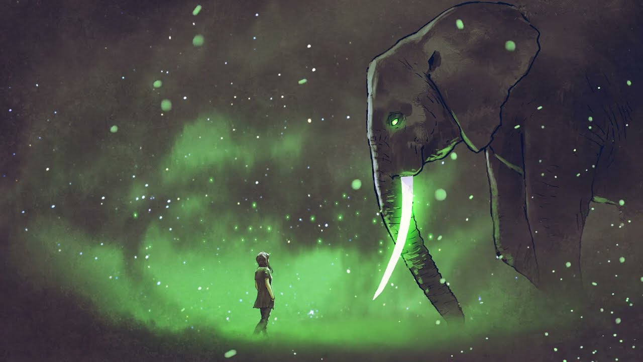 WILD ENCOUNTERS by Tomas Herudek
