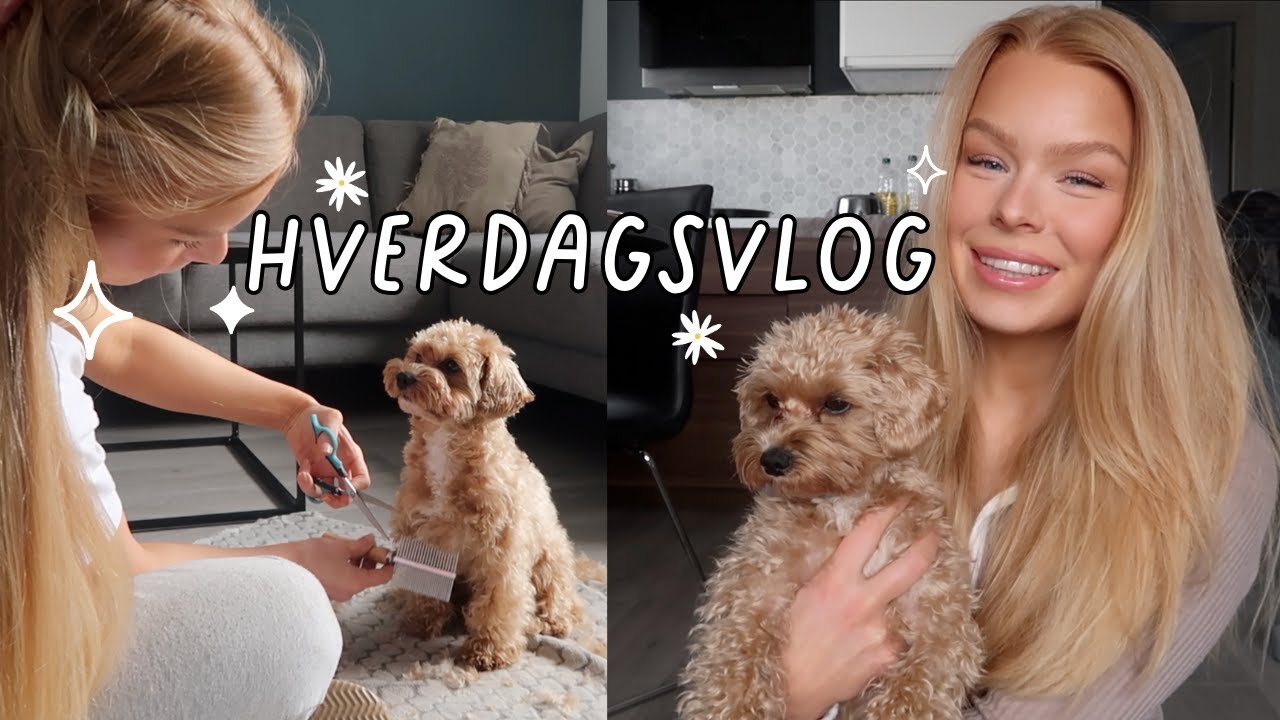 heng med meg og Bingo noen dager + ny sponsor??