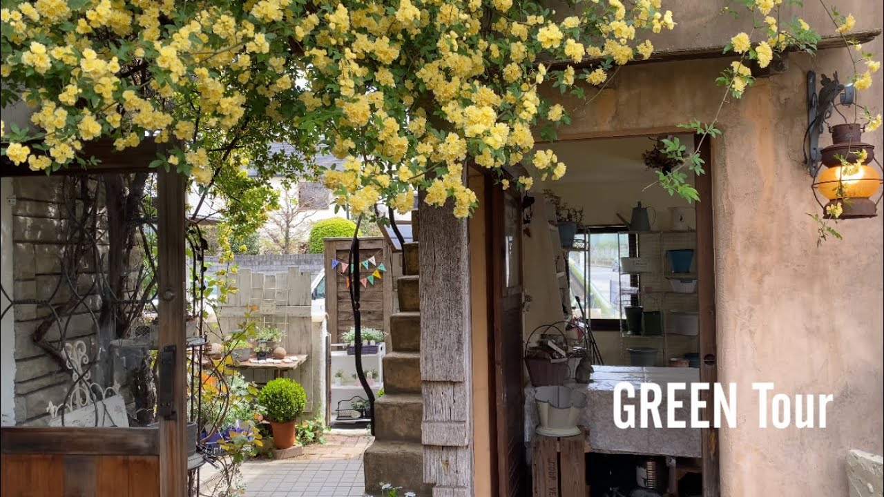 憧れの薔薇で覆われた屋根があるお庭！狭くてもアンティーク雑貨で可愛いが詰まったクラシカルな雰囲気漂うガーデニングショップ | Rabbit Garden | 園芸/観葉植物店巡り| 奈良/天理