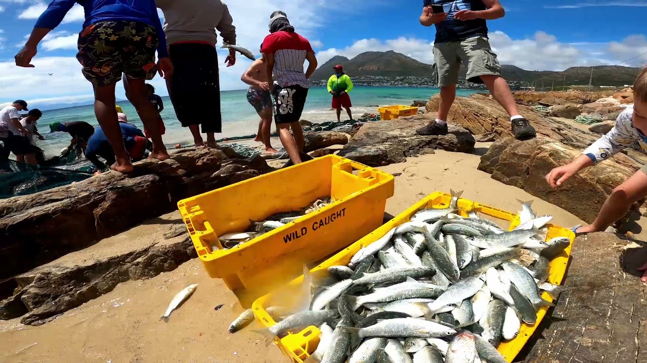 FISHERMAN OF FISHOEK SOUTH AFRICA