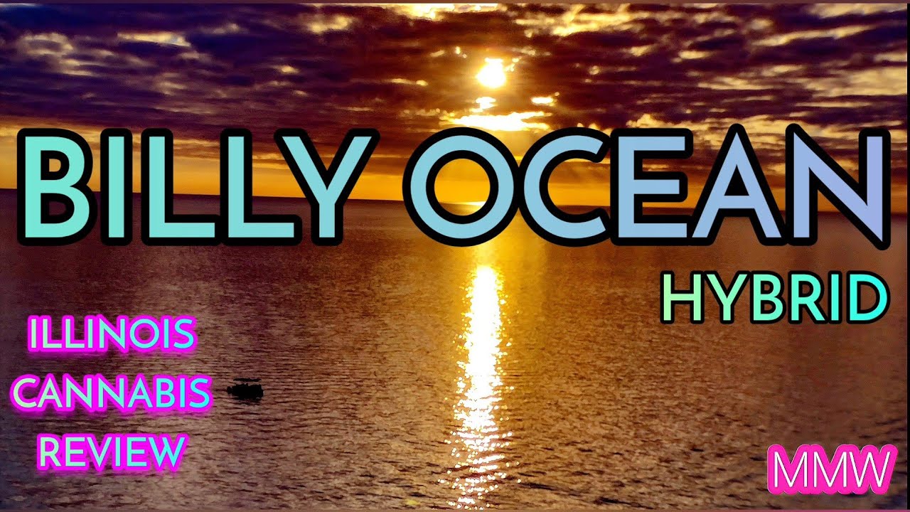 CRESCO - Billy Ocean - Hybrid - Illinois Cannabis Review 
