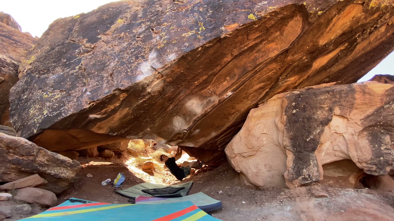 Show Of Hands Sds V12- Moes Valley