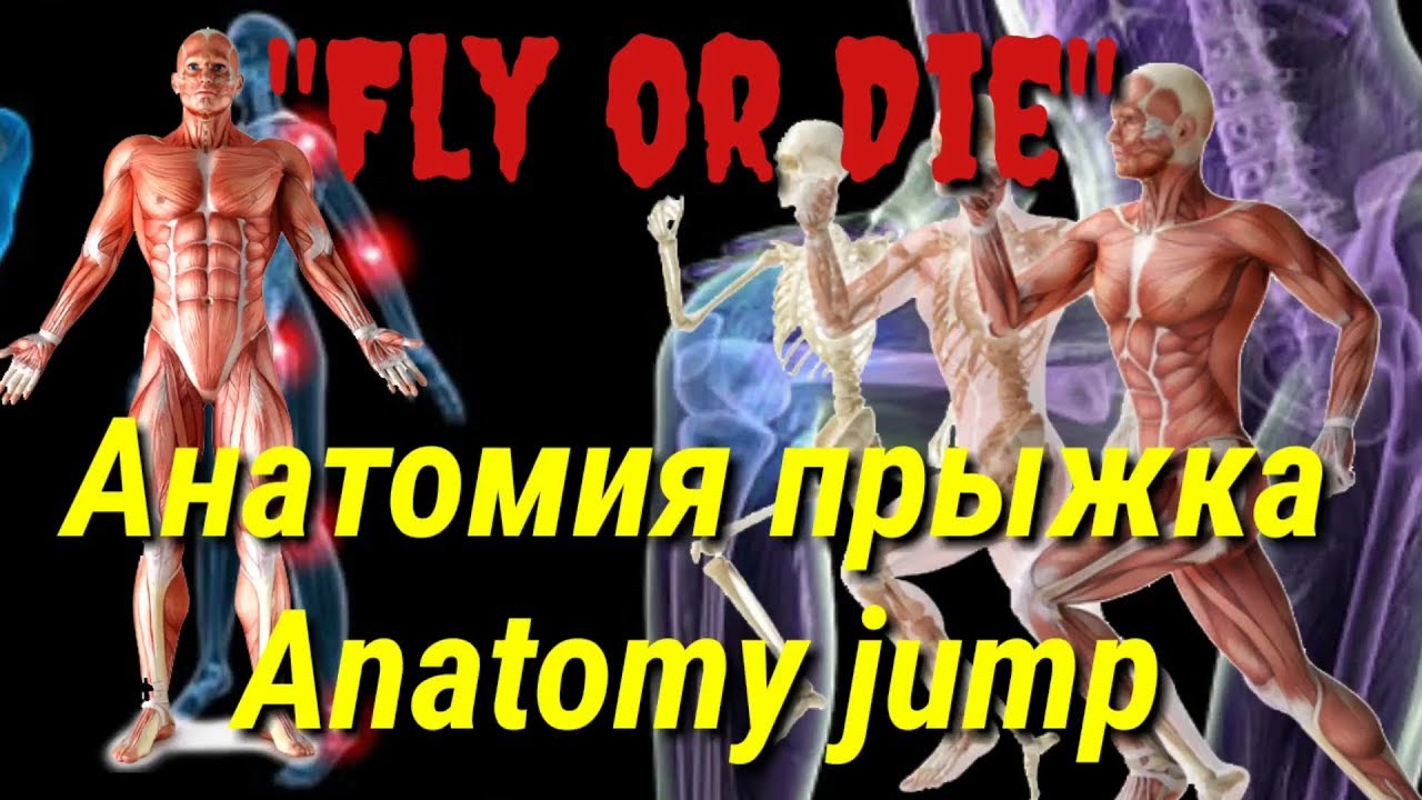 Fly or Die 1 