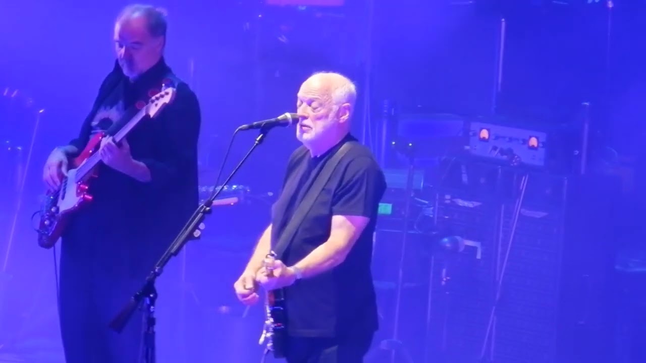 David Gilmour, A Great Day For Freedom, MSG, Nov. 10, 2024