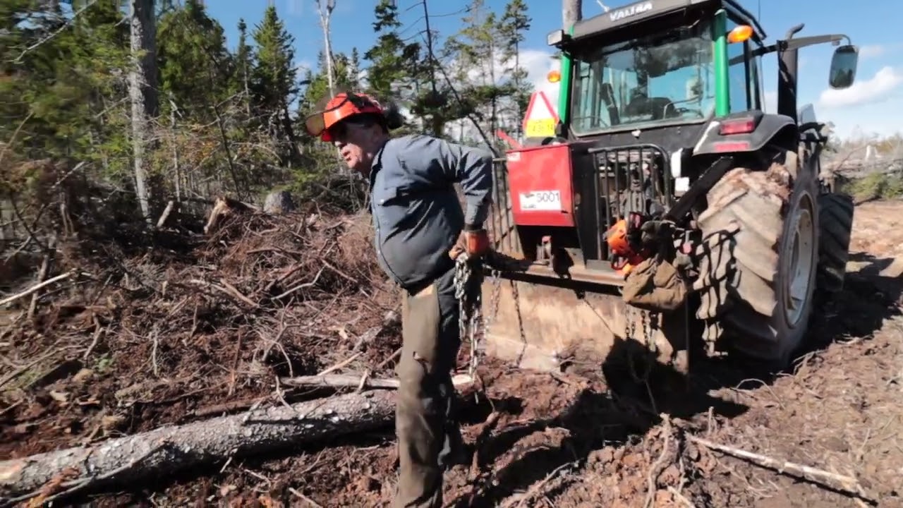 Seven Gulches; A One Man Forestry Operation Private Woodlot