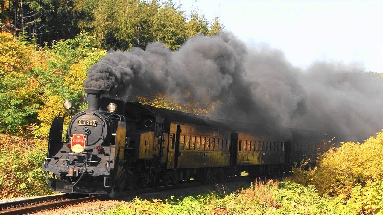 祝 『ＳＬ大樹』運行開始！！☆カニ目の≪Ｃ１１－２０７号機≫北海道内最後の雄姿☆