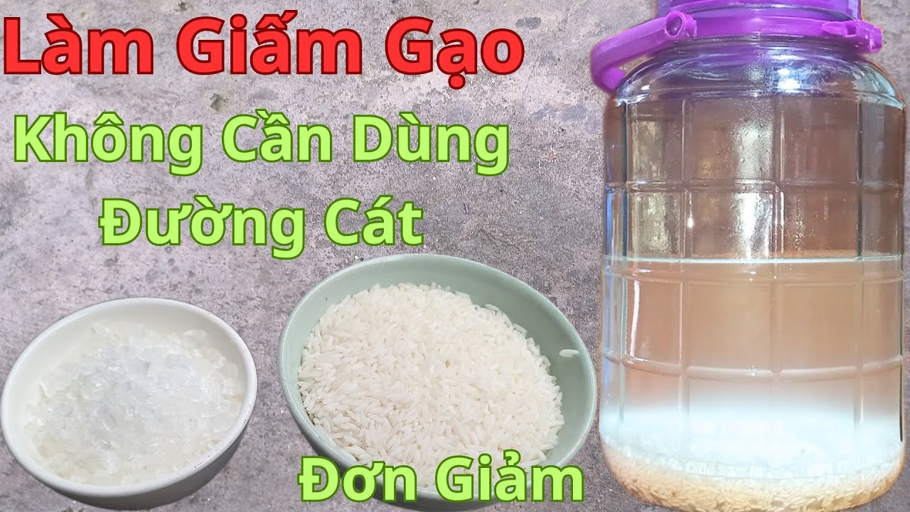 Khi Làm Giấm Gạo Ta Đừng Cho Đường Cát Vào Hãy Cho Thứ Này Vào Sẽ Ngon Hơn.Cách Làm Giấm Gạo Đơn Gia
