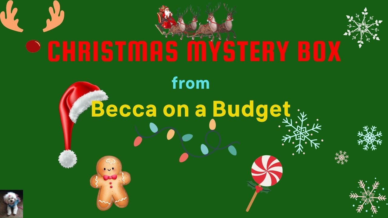 Becca on a Budget Christmas box